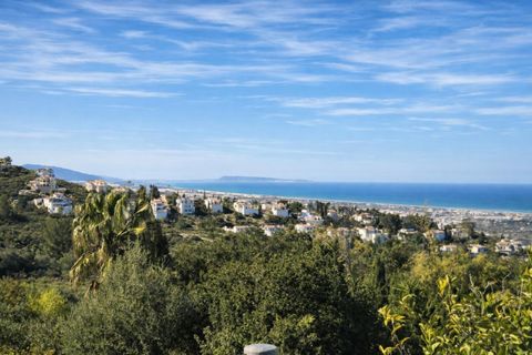 Tomt i Benimeli, Alicante, Benimeli - € 83 000 | Ref: PNPT297 - foto 33